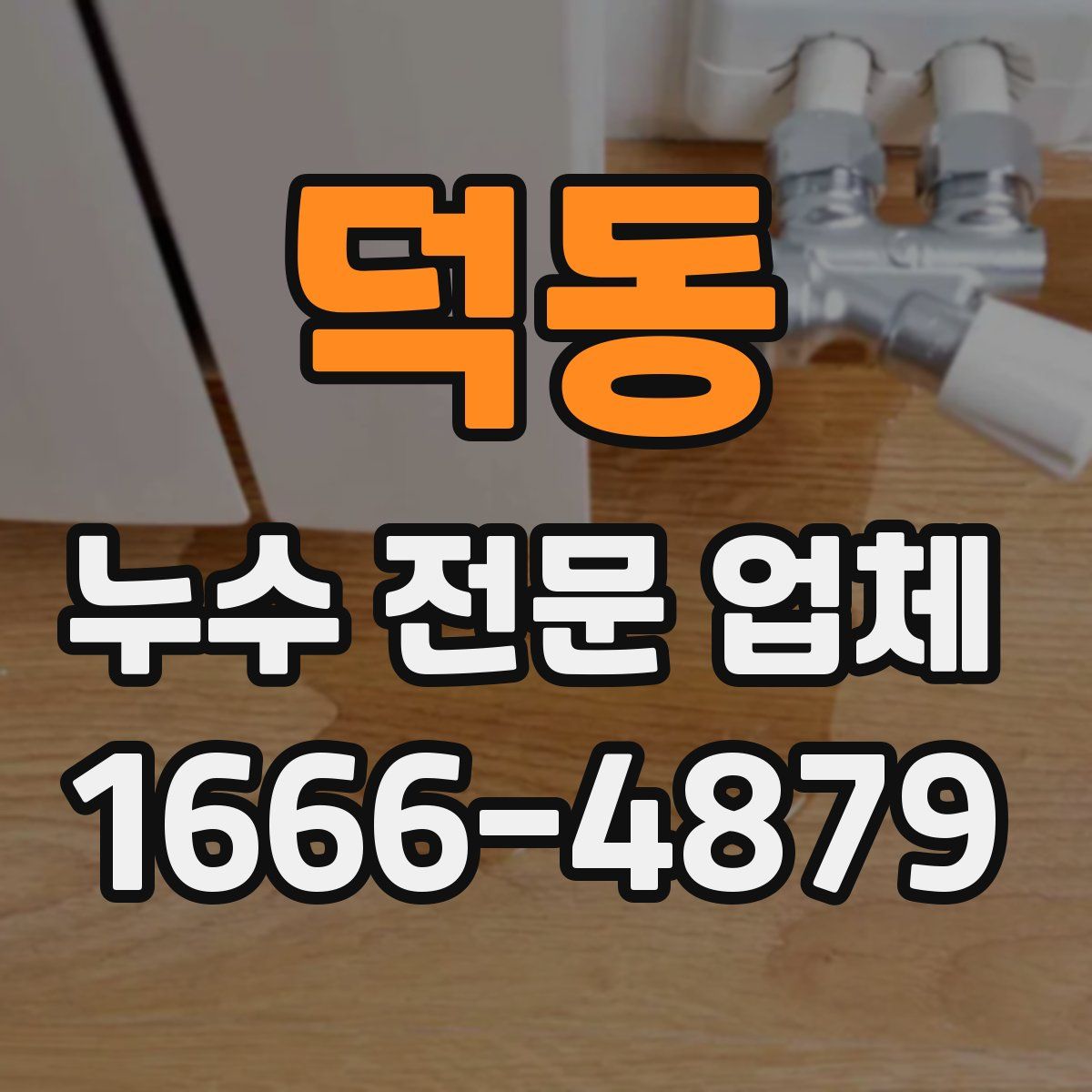 덕동 누수 전문 업체