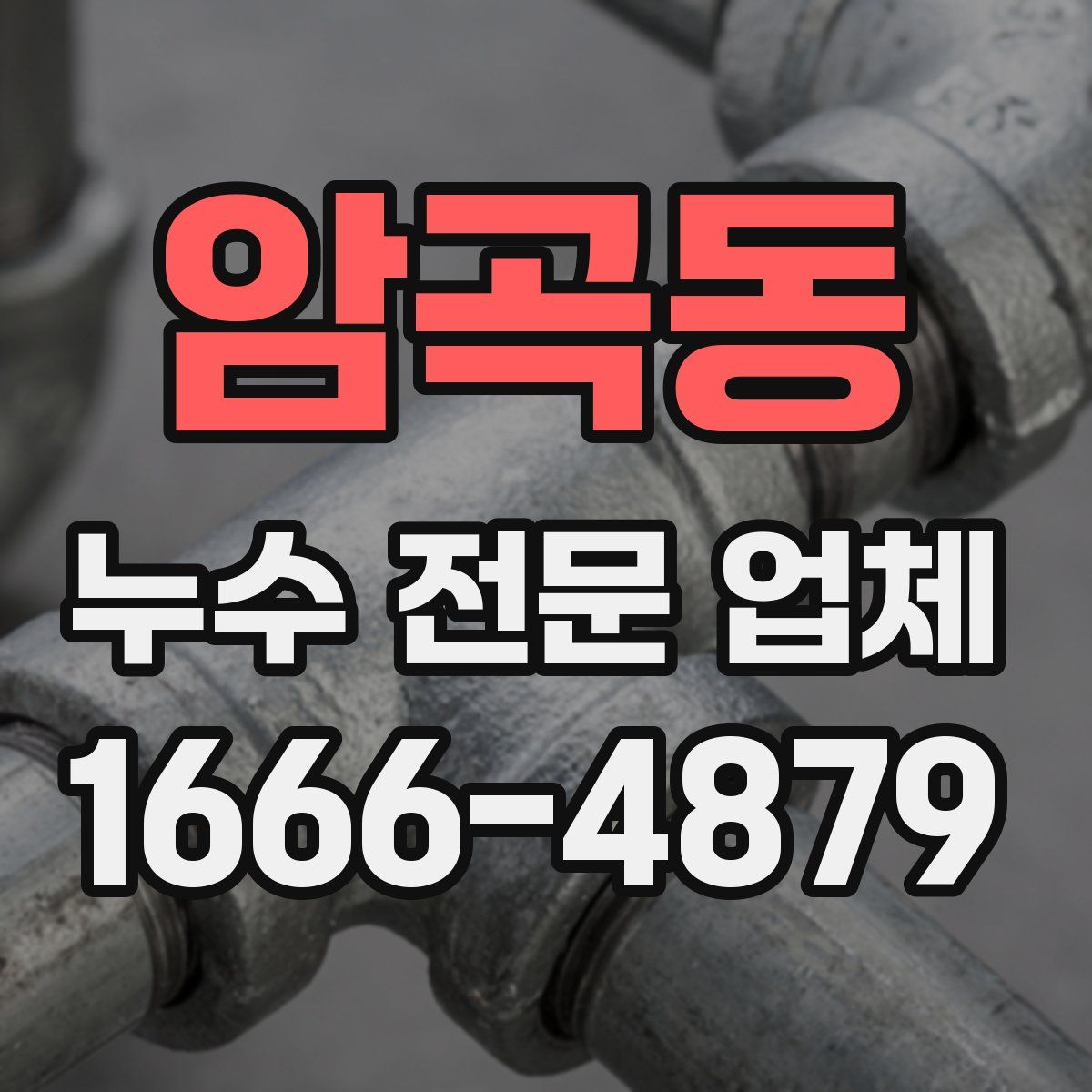 암곡동 누수 전문 업체