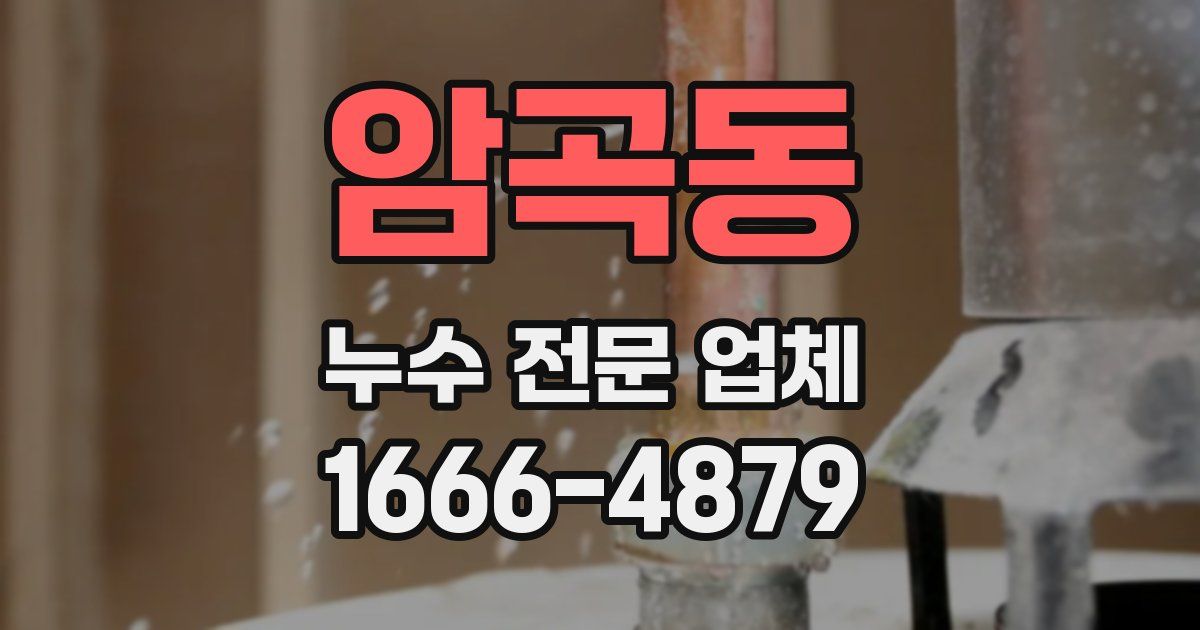 암곡동 누수 전문 업체