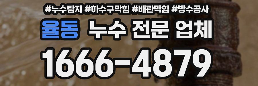 율동 누수 전문 업체