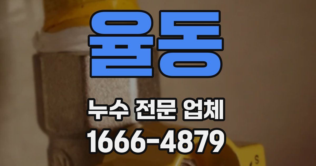 율동 누수 전문 업체