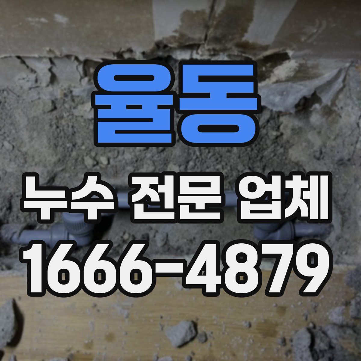 율동 누수 전문 업체