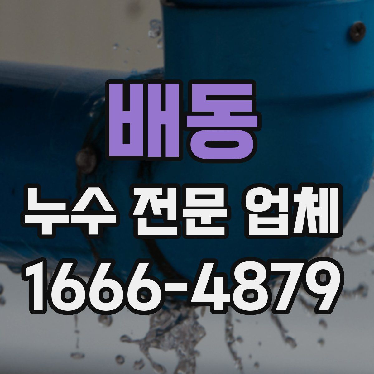 배동 누수 전문 업체