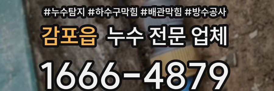 감포읍 누수 전문 업체