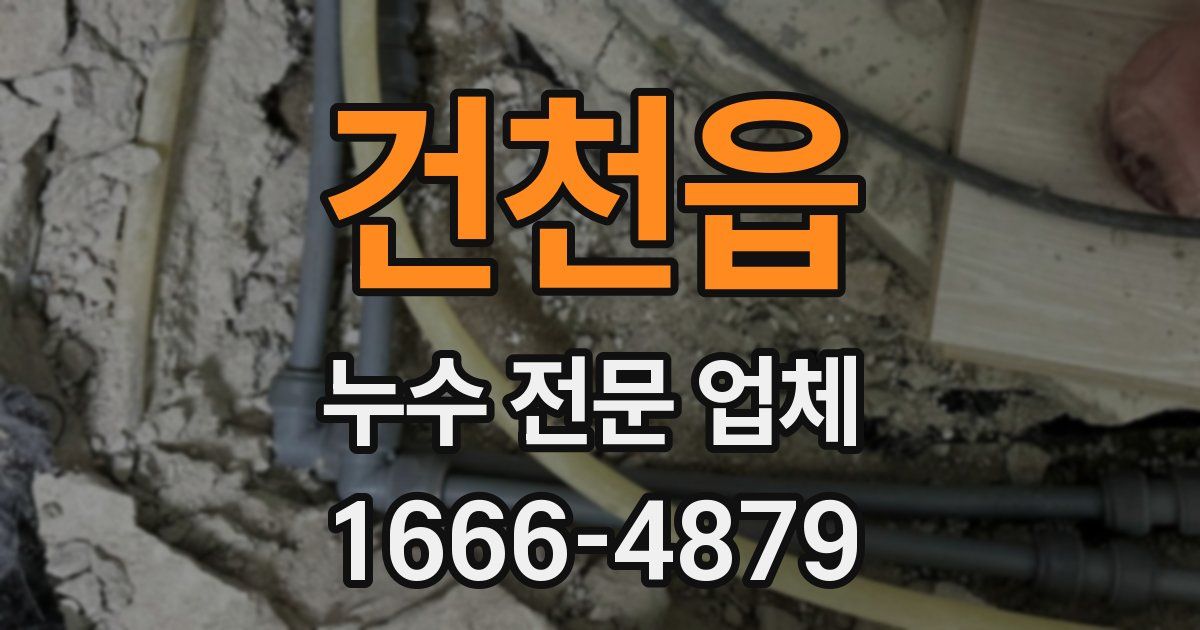 건천읍 누수 전문 업체