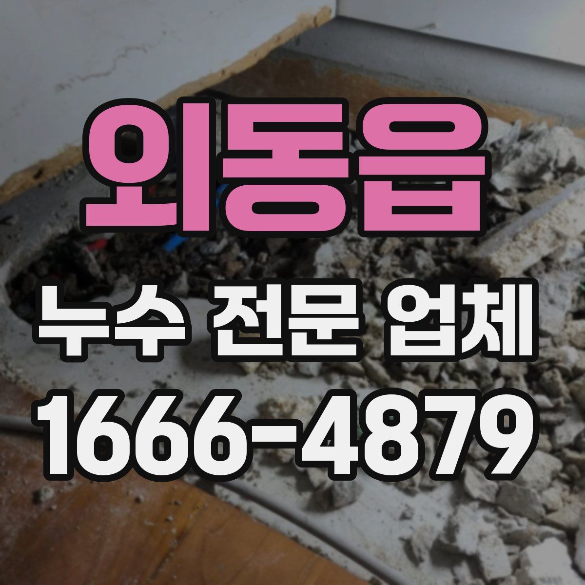 외동읍 누수 전문 업체