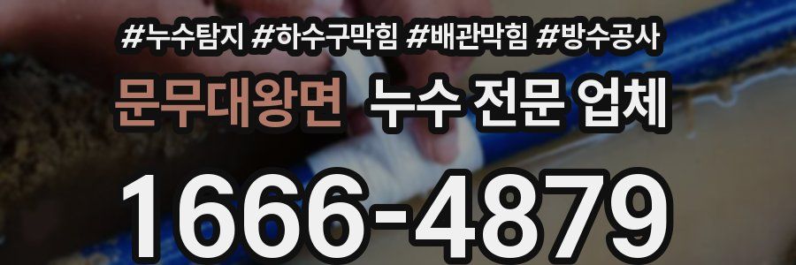 문무대왕면 누수 전문 업체