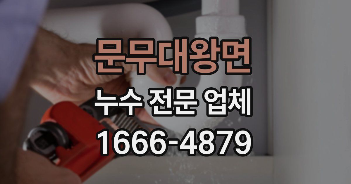 문무대왕면 누수 전문 업체