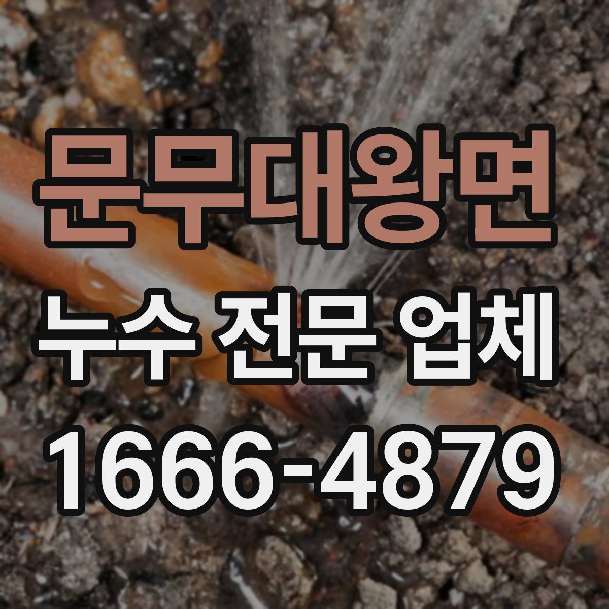 문무대왕면 누수 전문 업체