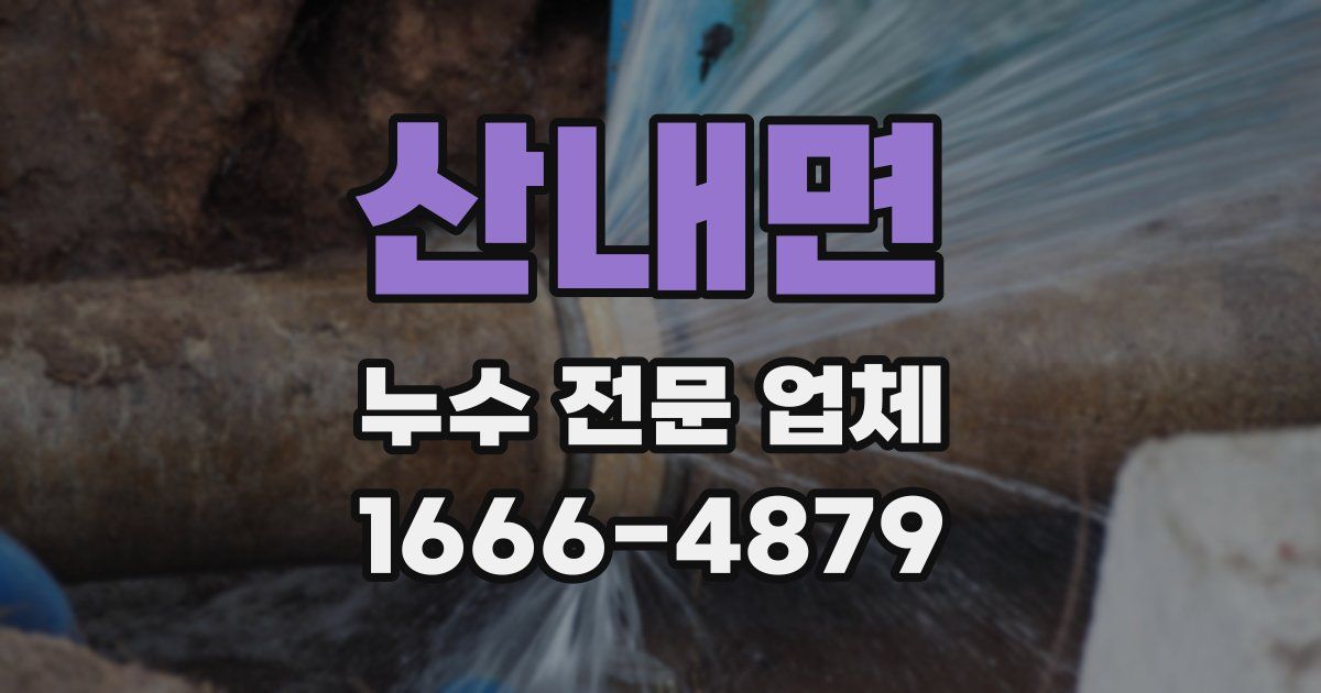 산내면 누수 전문 업체