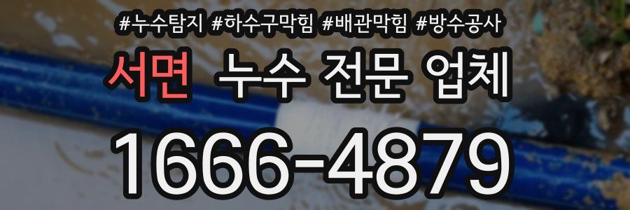 서면 누수 전문 업체