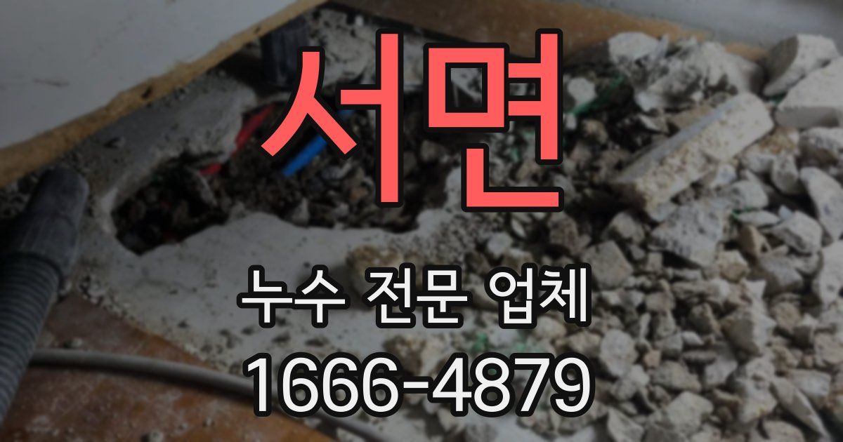 서면 누수 전문 업체