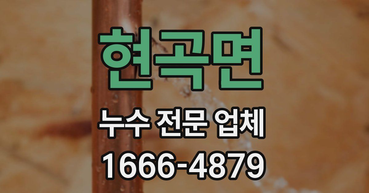 현곡면 누수 전문 업체