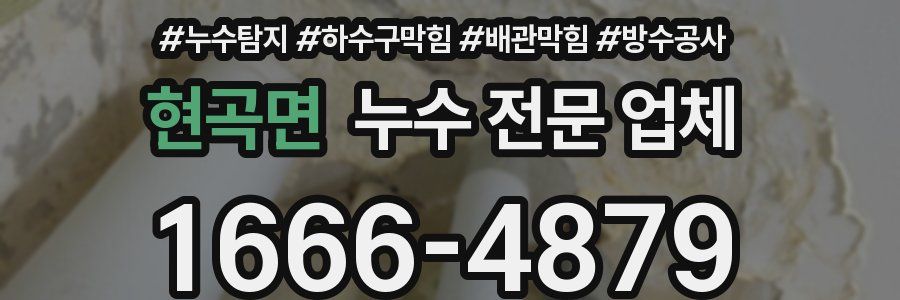 현곡면 누수 전문 업체