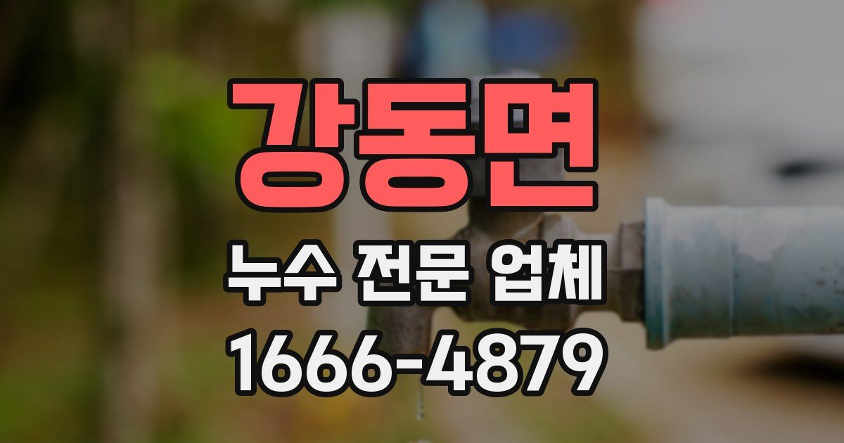 강동면 누수 전문 업체