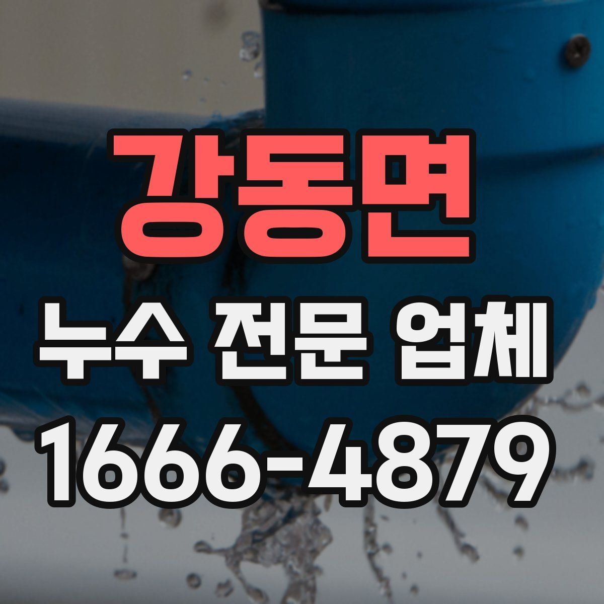 강동면 누수 전문 업체