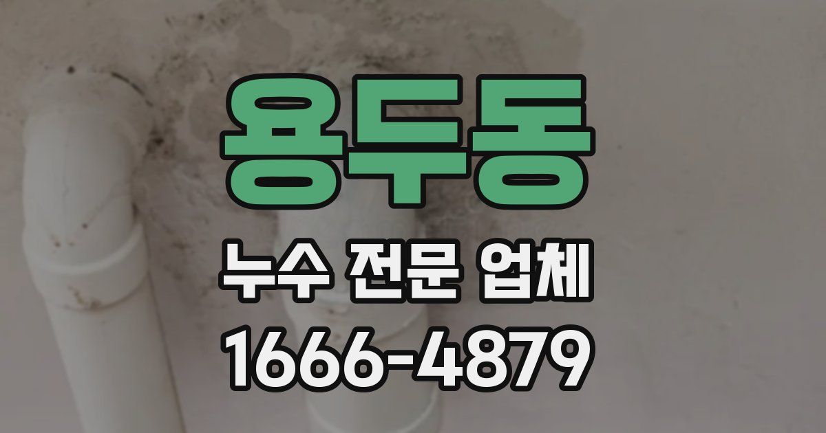 용두동 누수 전문 업체