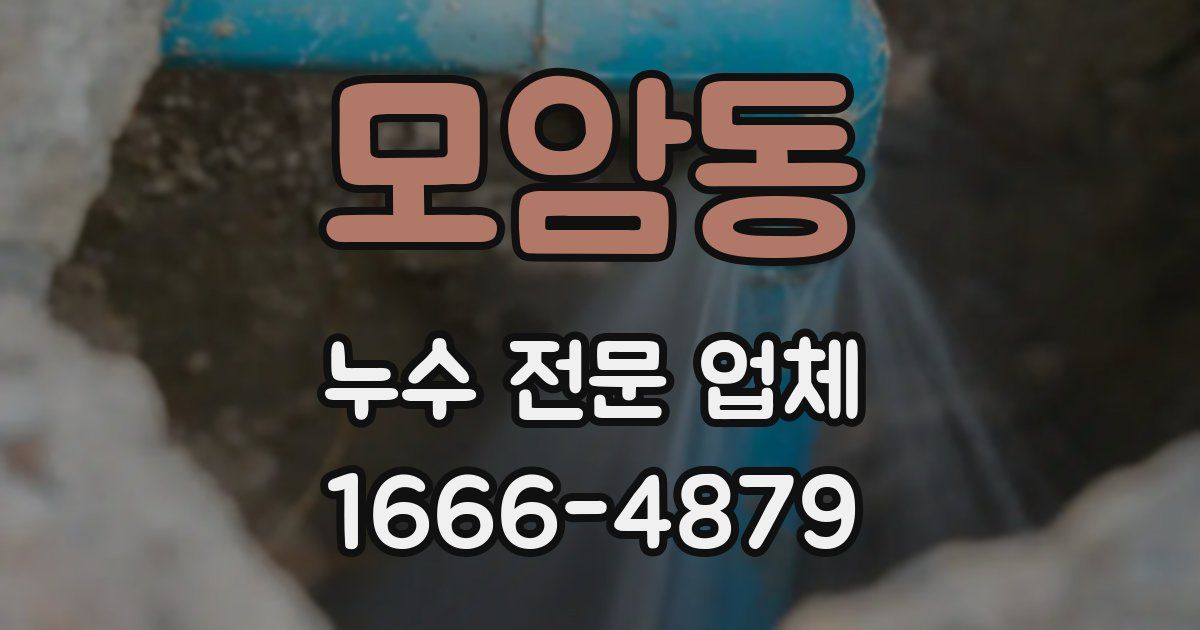 모암동 누수 전문 업체