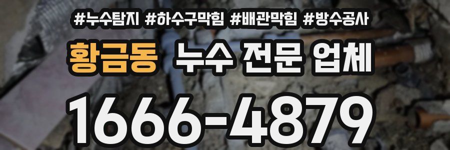 황금동 누수 전문 업체