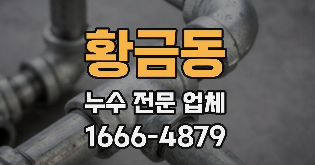 황금동 누수 전문 업체