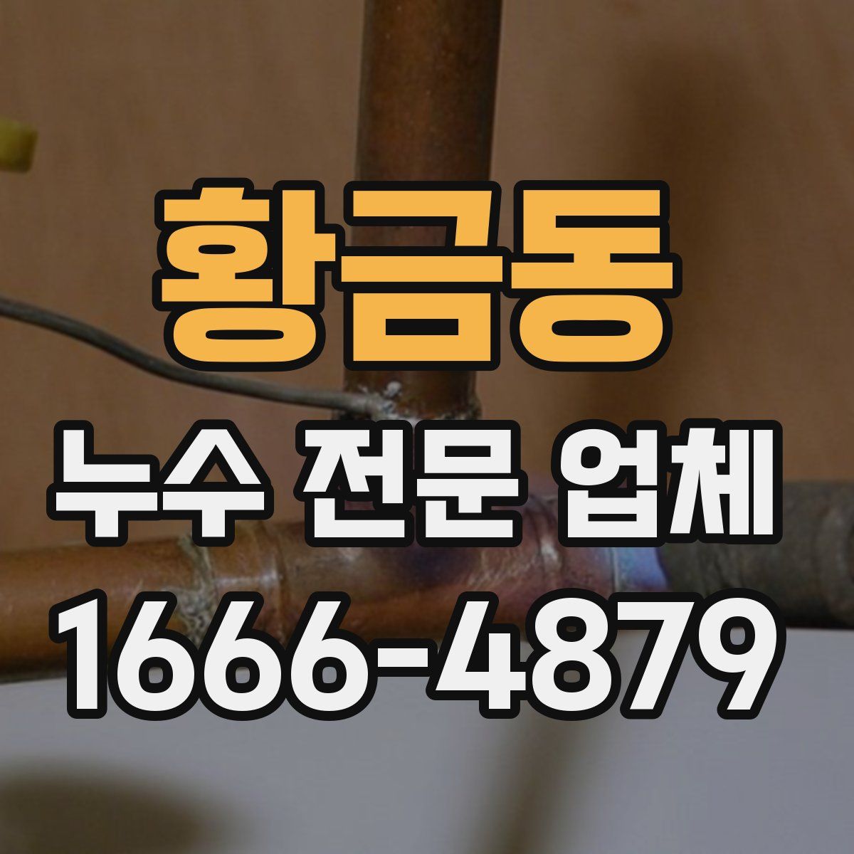 황금동 누수 전문 업체