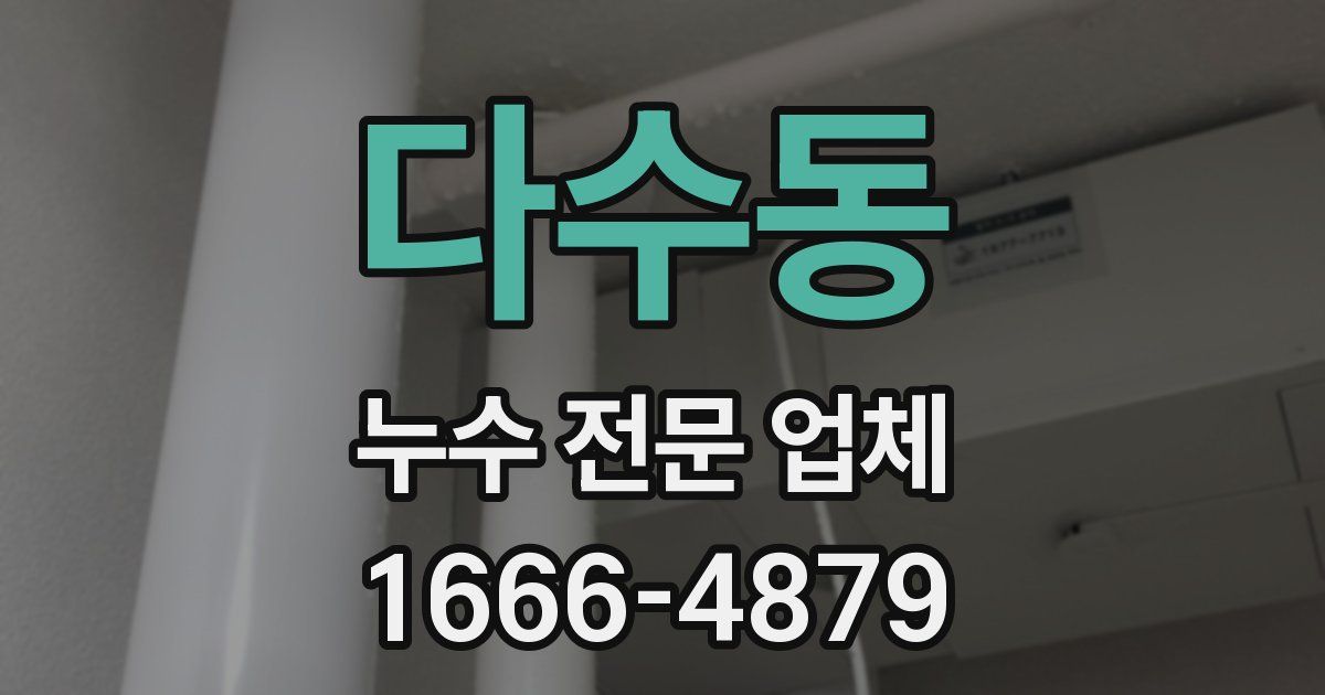 다수동 누수 전문 업체