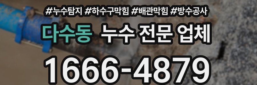 다수동 누수 전문 업체