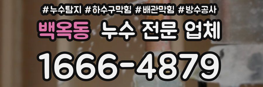 백옥동 누수 전문 업체