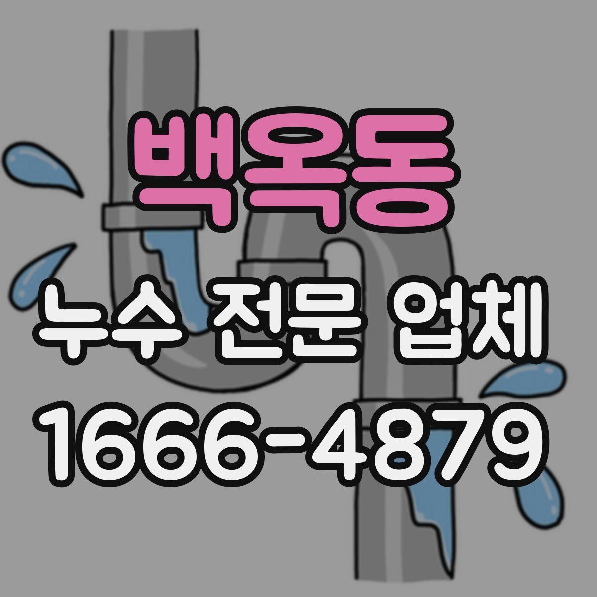 백옥동 누수 전문 업체