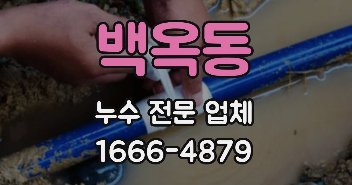 백옥동 누수 전문 업체