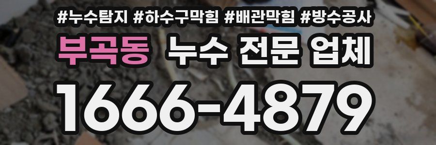 부곡동 누수 전문 업체
