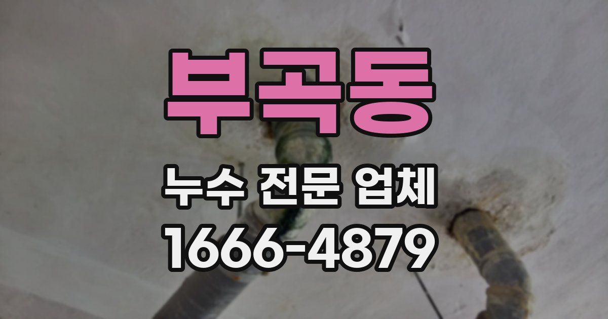 부곡동 누수 전문 업체