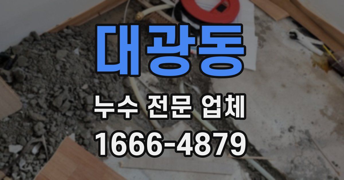 대광동 누수 전문 업체