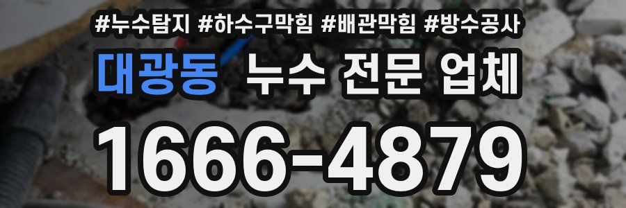대광동 누수 전문 업체
