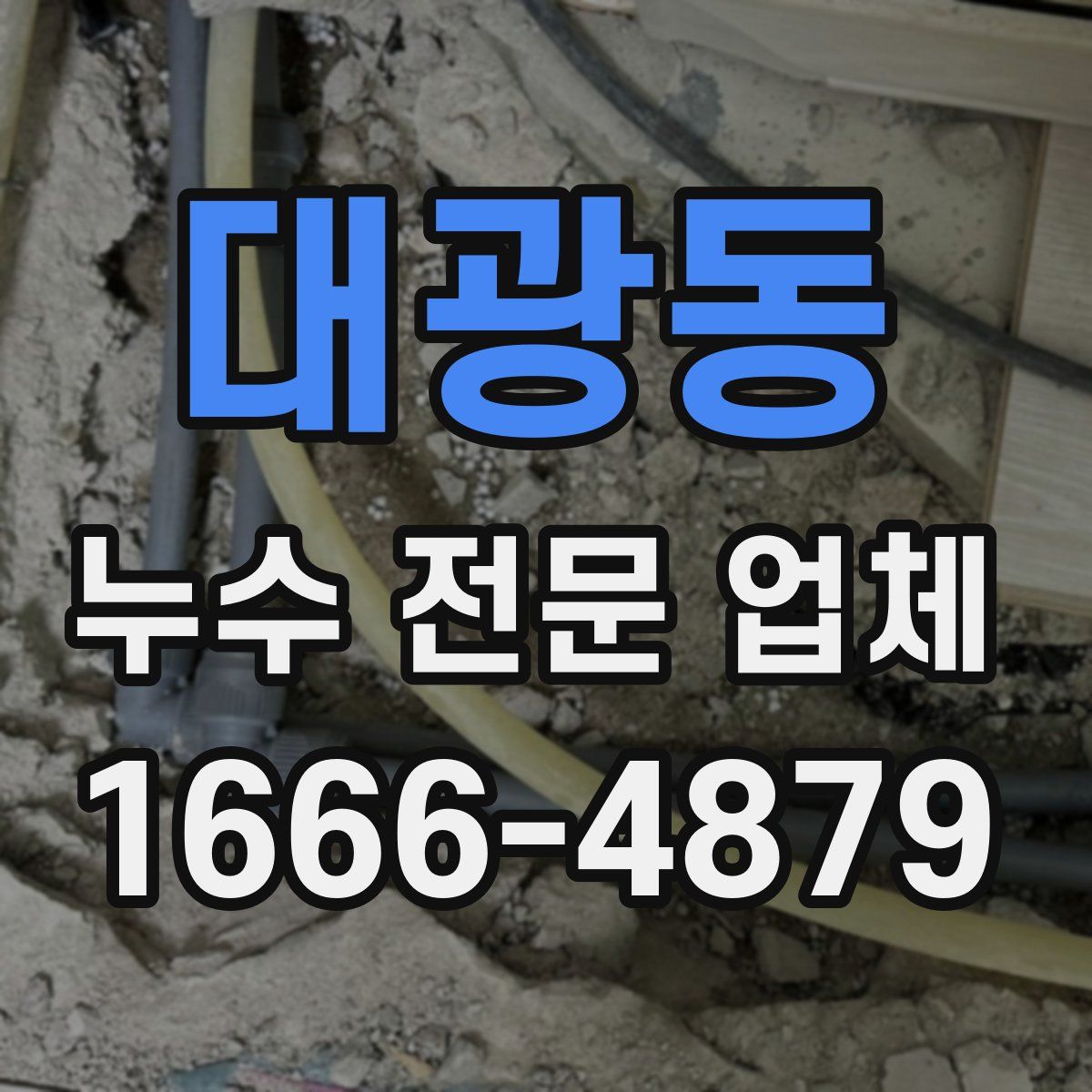 대광동 누수 전문 업체