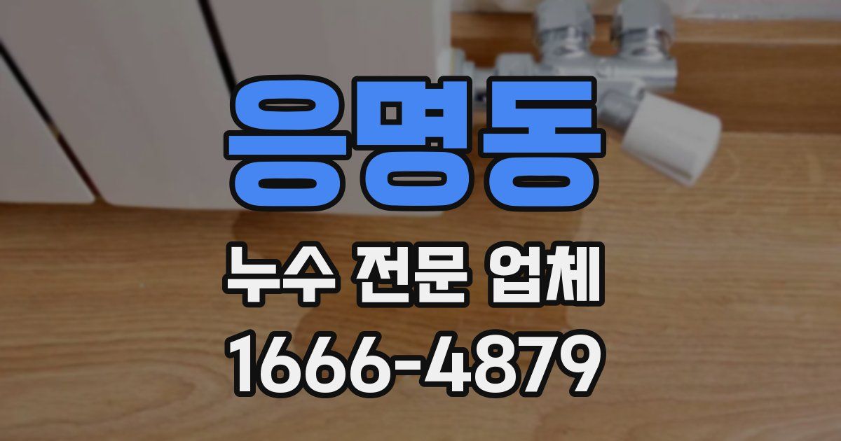 응명동 누수 전문 업체