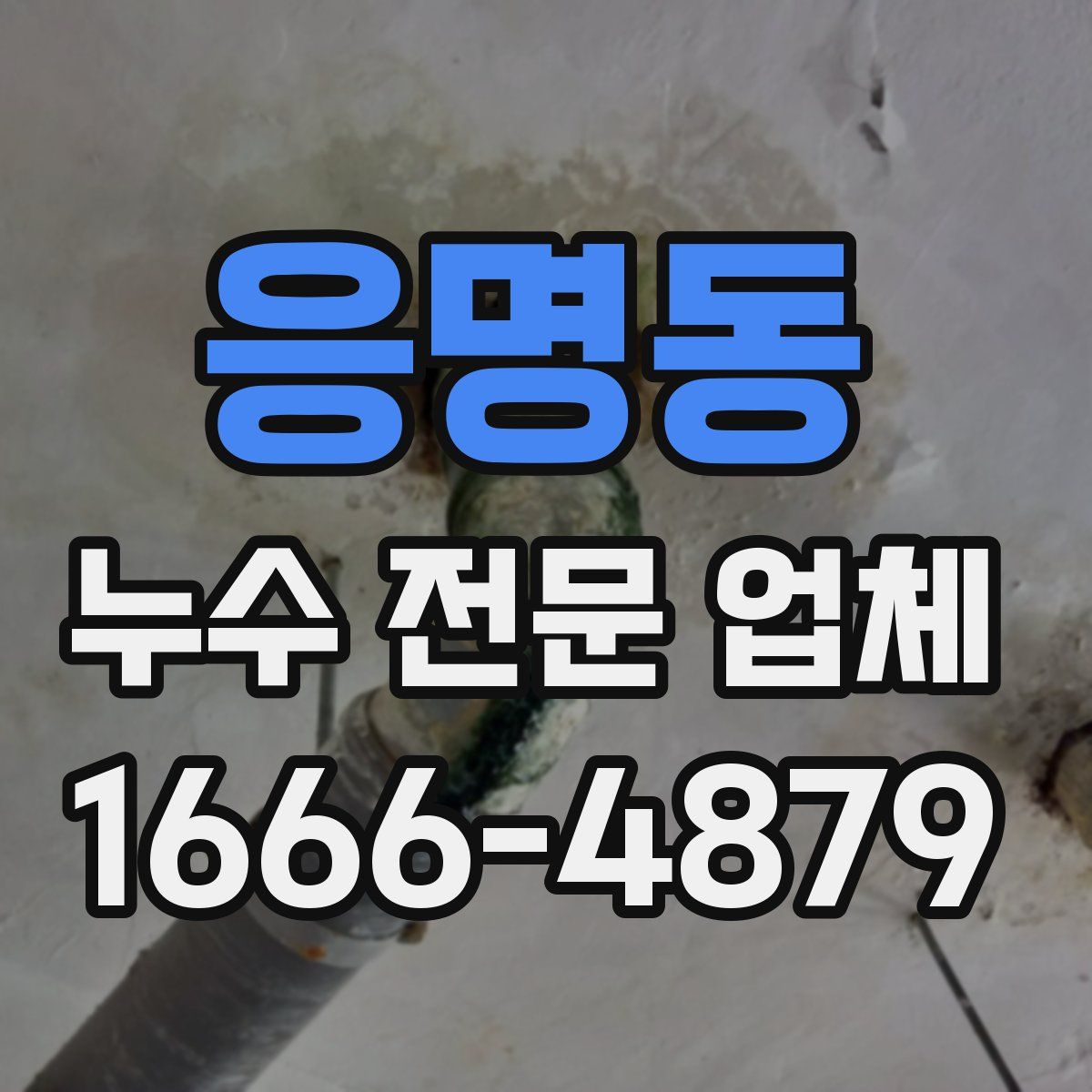 응명동 누수 전문 업체
