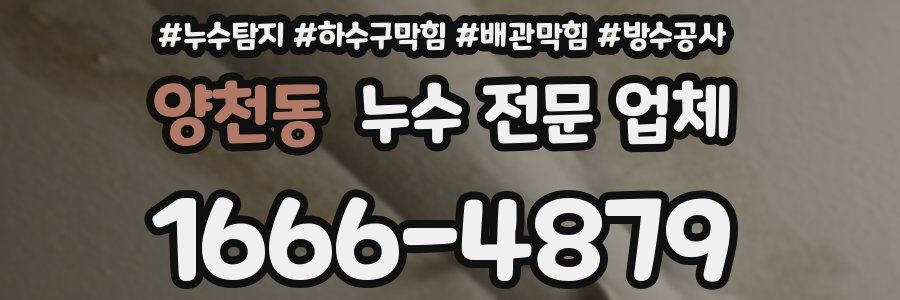양천동 누수 전문 업체