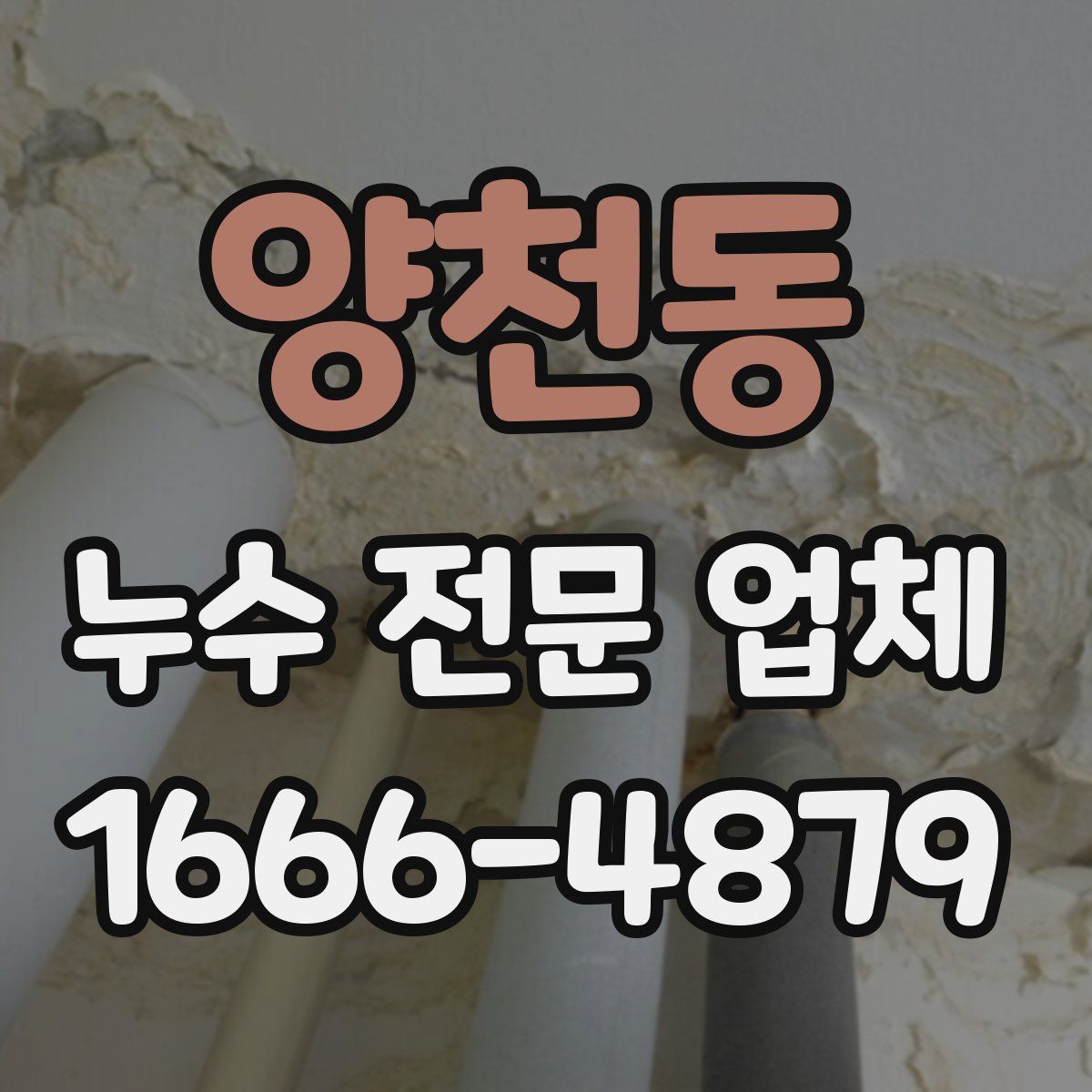 양천동 누수 전문 업체