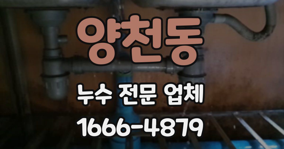양천동 누수 전문 업체