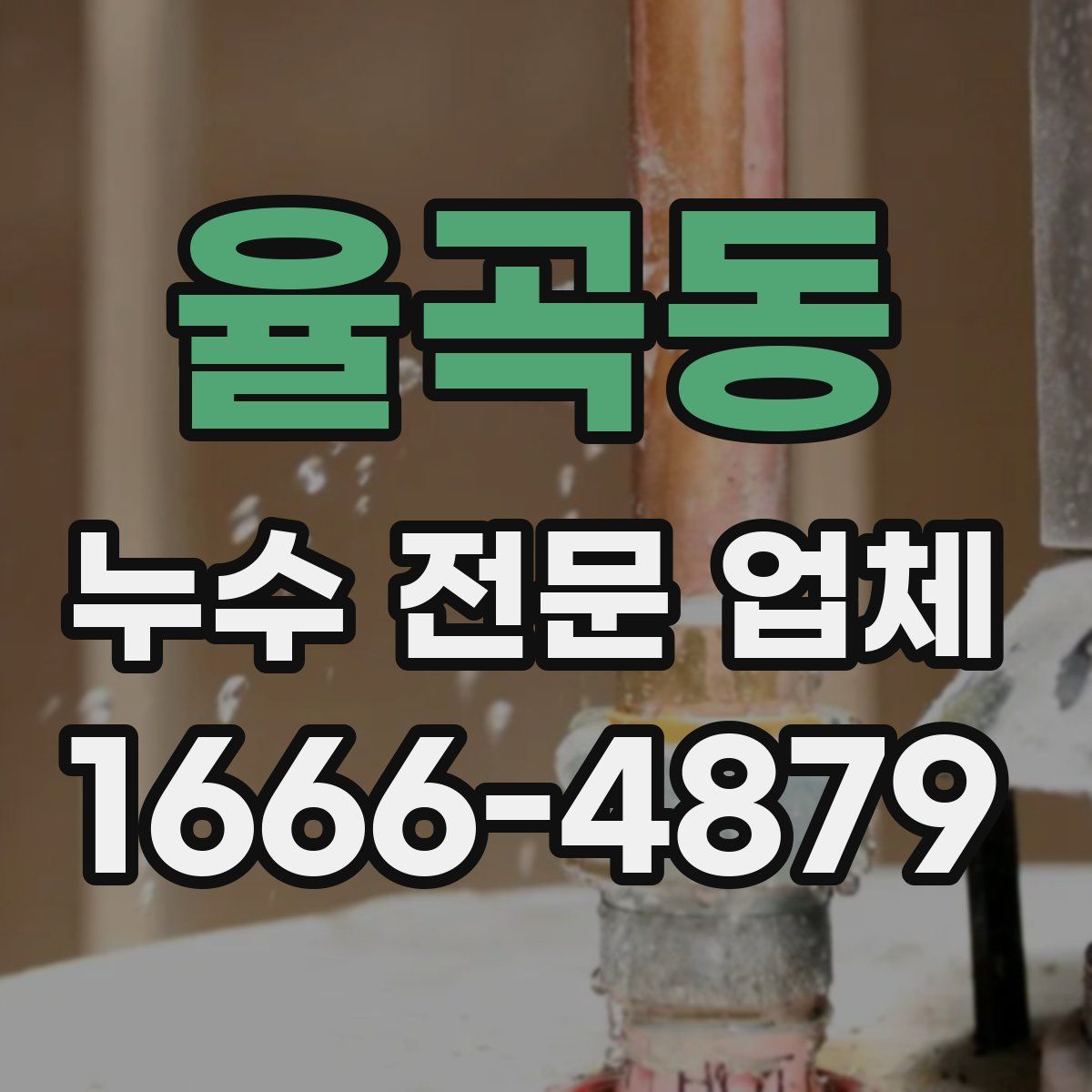 율곡동 누수 전문 업체