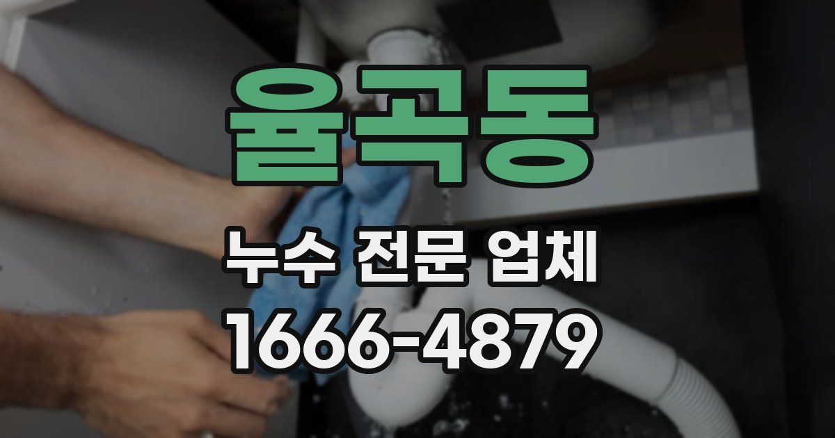 율곡동 누수 전문 업체