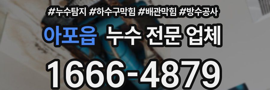아포읍 누수 전문 업체