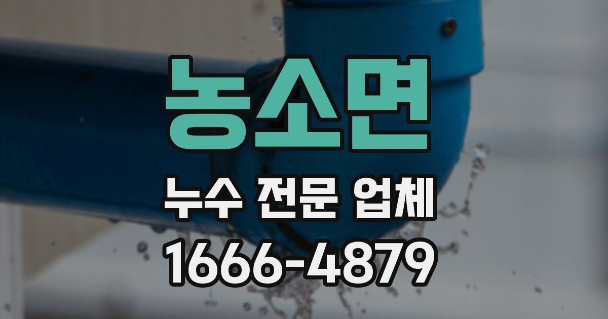 농소면 누수 전문 업체