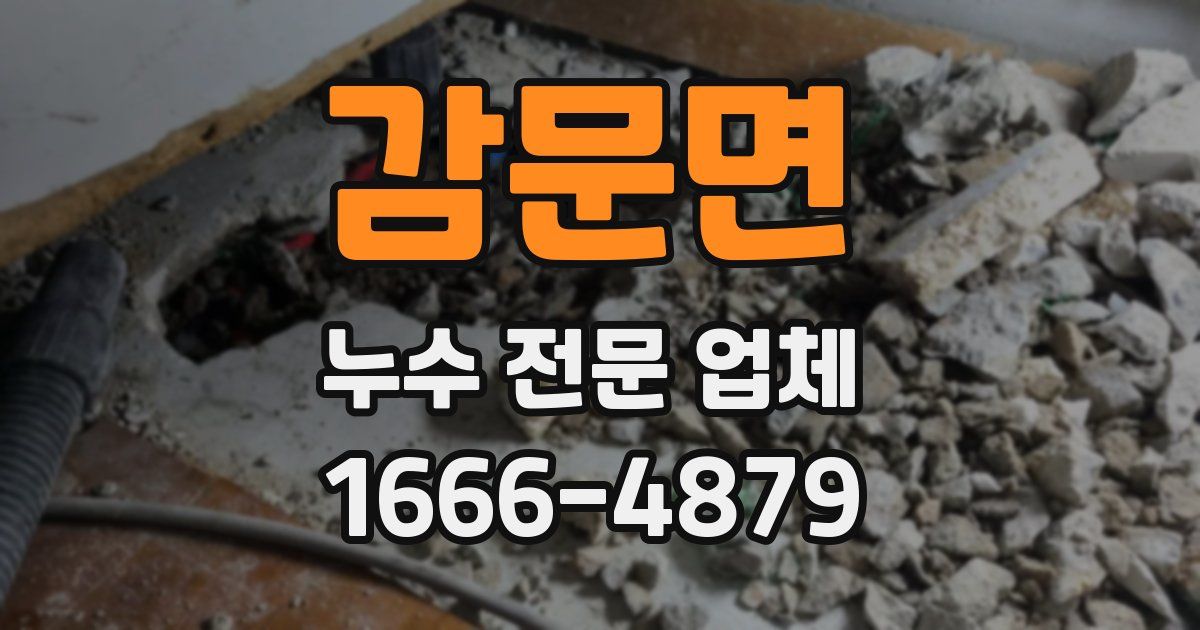 감문면 누수 전문 업체