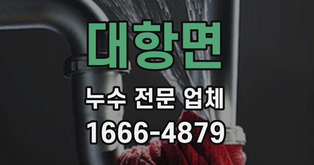 대항면 누수 전문 업체
