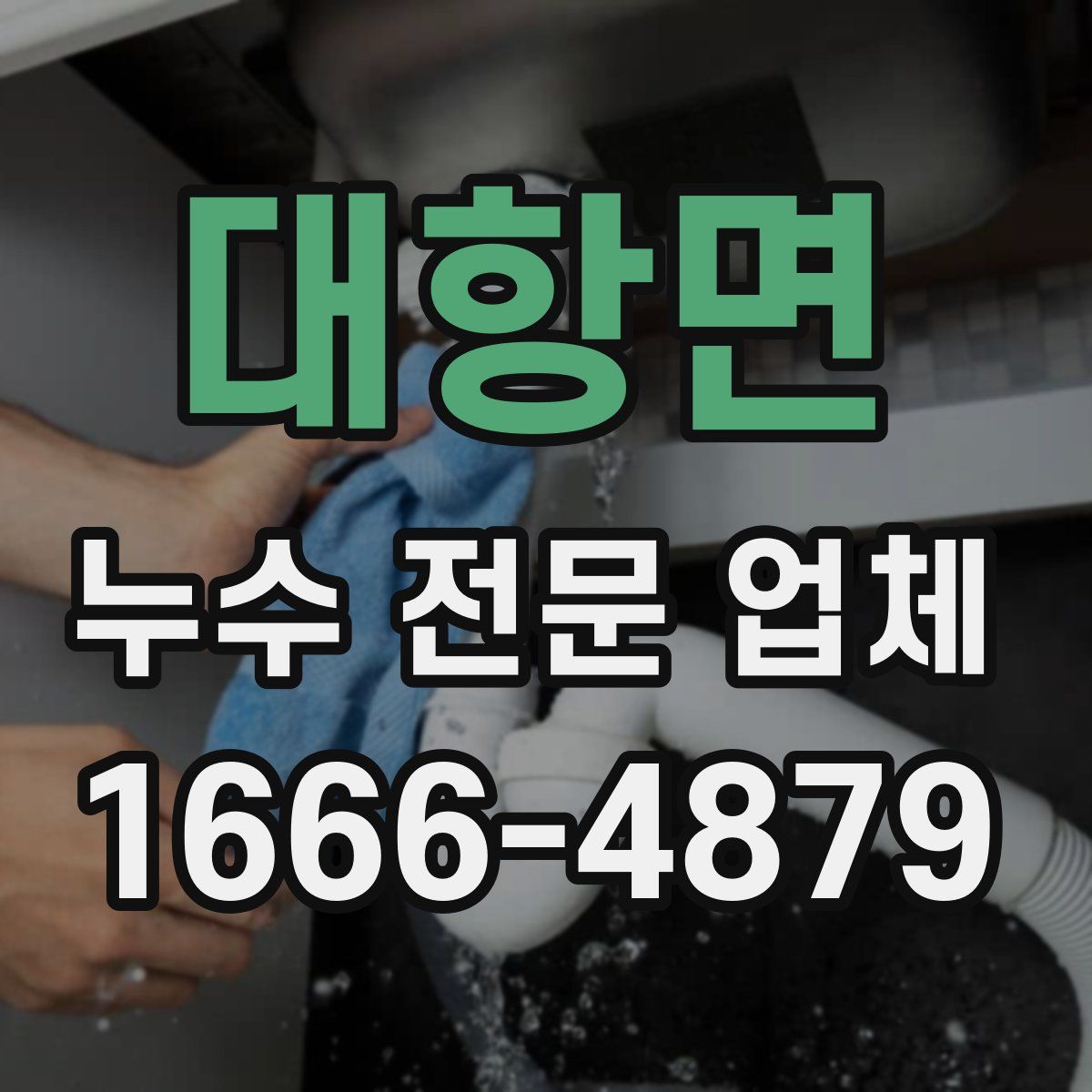 대항면 누수 전문 업체