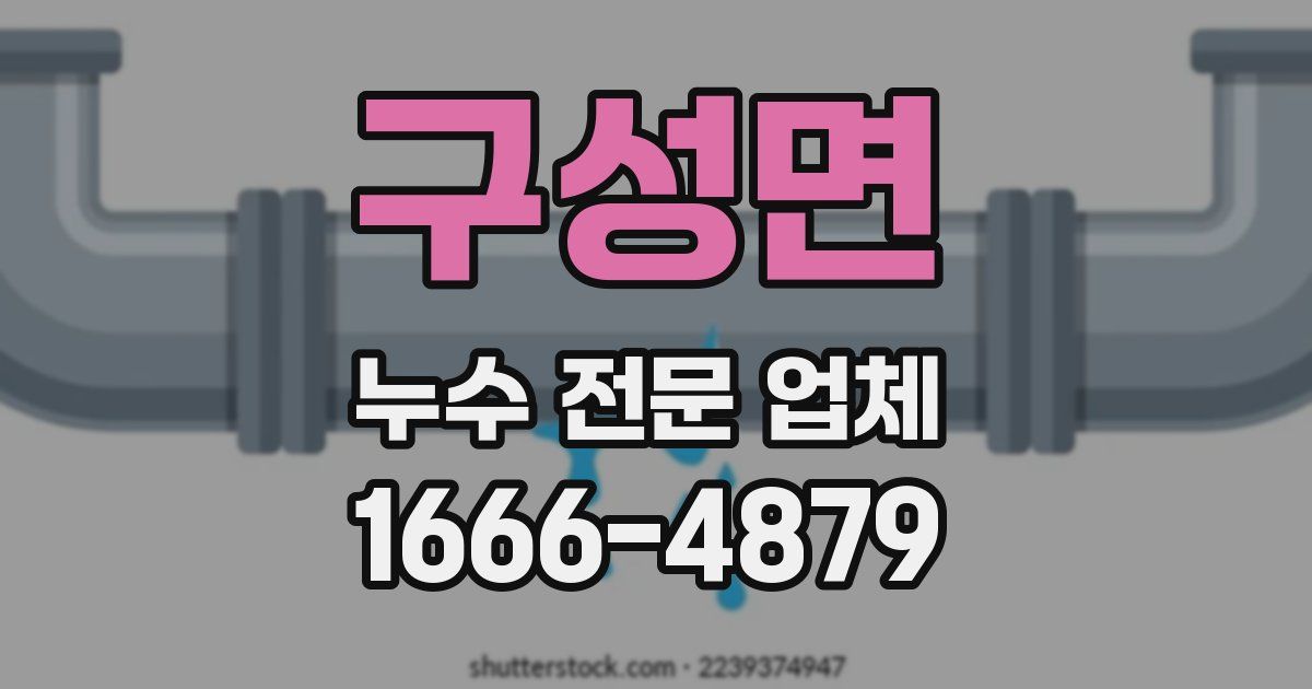 구성면 누수 전문 업체