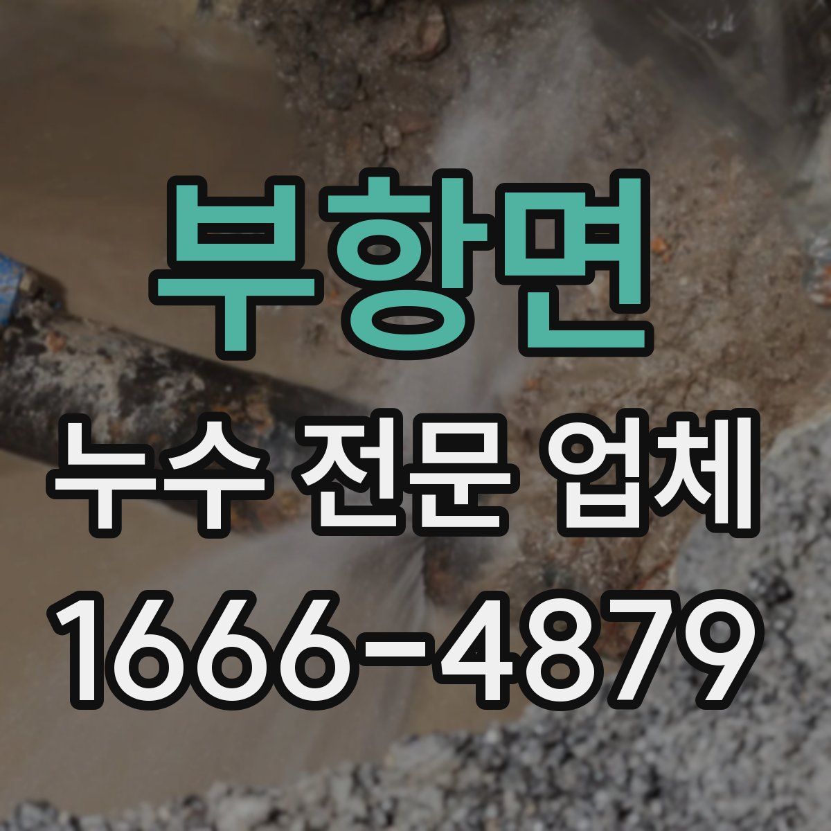 부항면 누수 전문 업체