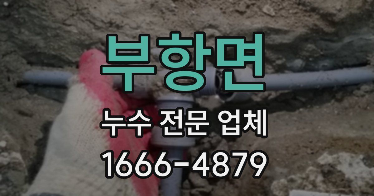 부항면 누수 전문 업체